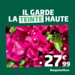 Jardiland Mai est l&agrave; : d&eacute;couvrez nos vari&eacute;t&eacute;s coups de c&oelig;ur pour un ext&eacute;rieur qui p&eacute;tille de vie - au 11.05.2026