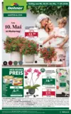 Dehner: Garten & Zoo