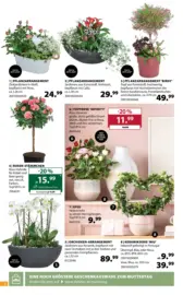 Dehner: Garten & Zoo