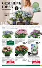 Dehner Hohenems Dehner: Garten & Zoo - bis 11.05.2026