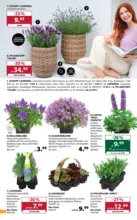 Dehner Hohenems Dehner: Garten & Zoo - bis 11.05.2026