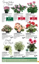 Dehner Hohenems Dehner: Garten & Zoo - bis 11.05.2026