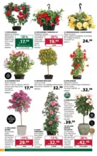 Dehner Hohenems Dehner: Garten & Zoo - bis 11.05.2026