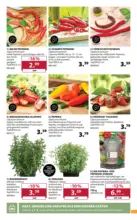 Dehner Hohenems Dehner: Garten & Zoo - bis 11.05.2026