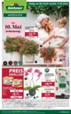 Dehner: Garten & Zoo