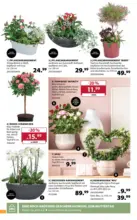 Dehner: Garten & Zoo