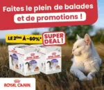 Animalis Promotions - au 17.05.2026