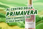 Giordano Vini Al centro della primavera - al 31.05.2026