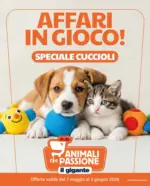 Il Gigante Affari in gioco! - al 03.06.2026