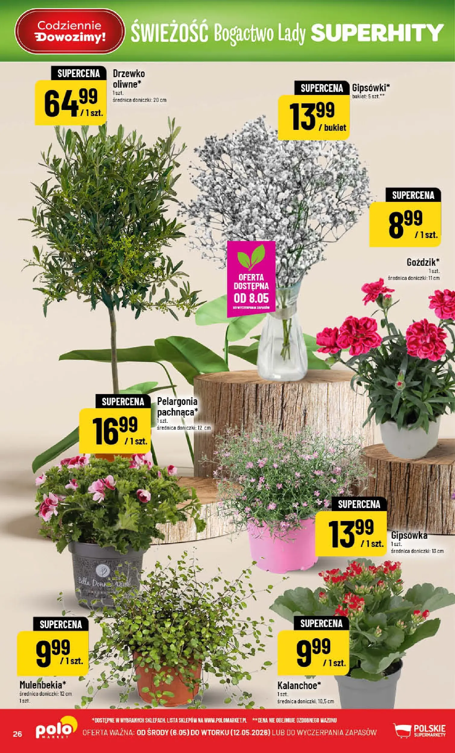 Nowa POLOmarket gazetka od jutra 06.05.2026 | Strona: 26 | Produkty: Doniczki