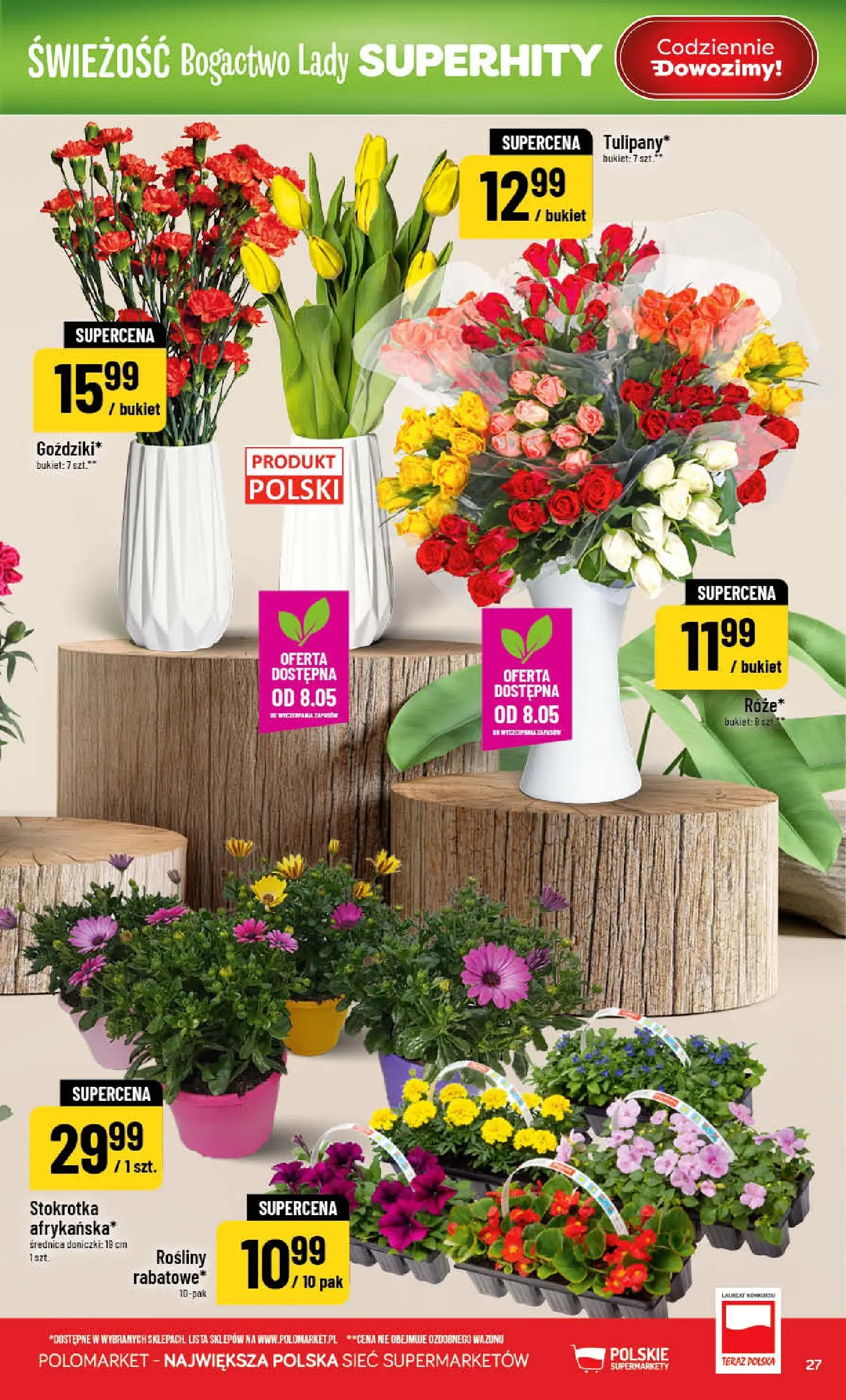 Nowa POLOmarket gazetka od jutra 06.05.2026 | Strona: 27 | Produkty: Stokrotka, Rosliny, Doniczki