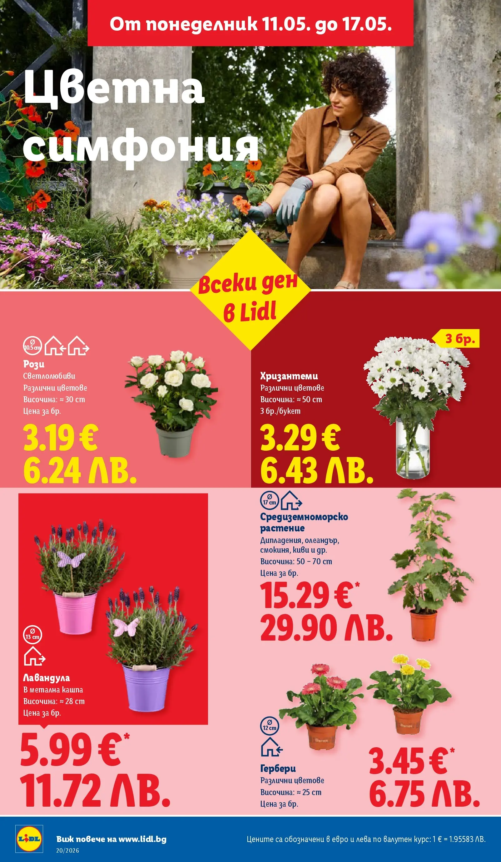 Лидл брошура - Седмични предложения от 11.05.2026 | Страница: 46 | Продукти: Киви Лидл брошура - Седмични предложения от 11.05.2026 | Страница: 46 | Продукти: Киви
