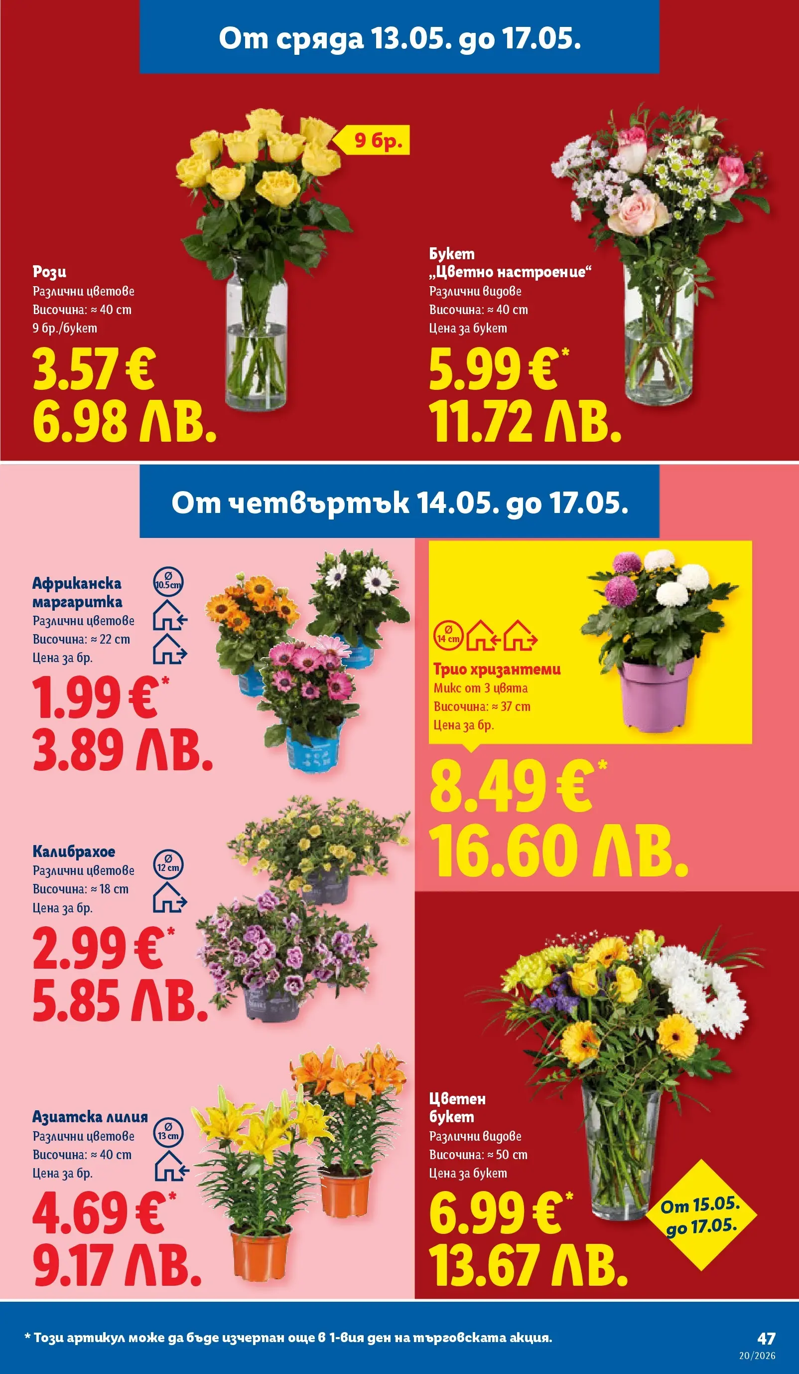 Лидл брошура - Седмични предложения от 11.05.2026 | Страница: 47 Лидл брошура - Седмични предложения от 11.05.2026 | Страница: 47