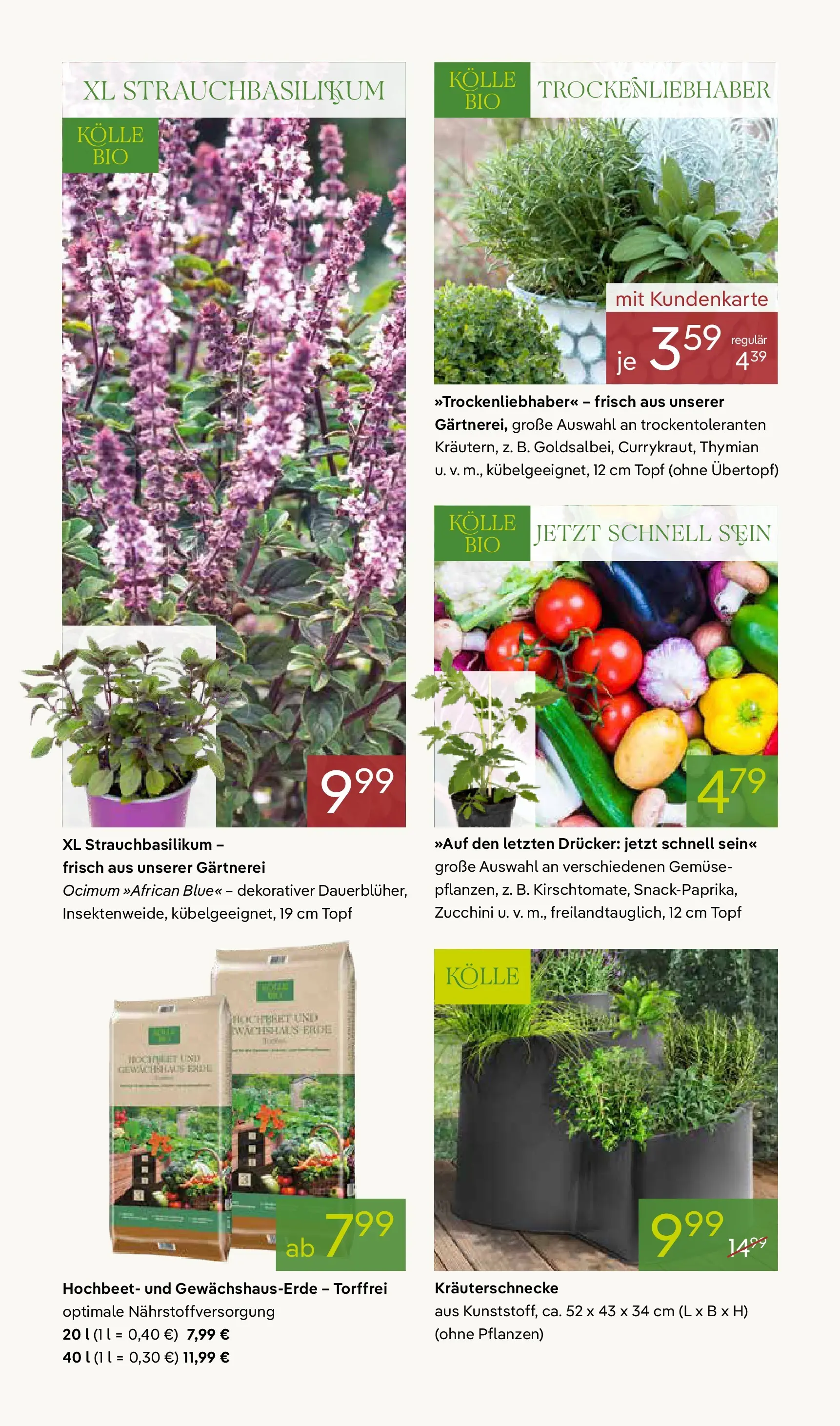 Pflanzen-Kölle - Pflanzen-Kölle: Gärtnern & Genießen (ab 10.05.2026) zum Blättern | Seite: 8 | Produkte: Hochbeet, Gemüse, Zucchini, Drucker