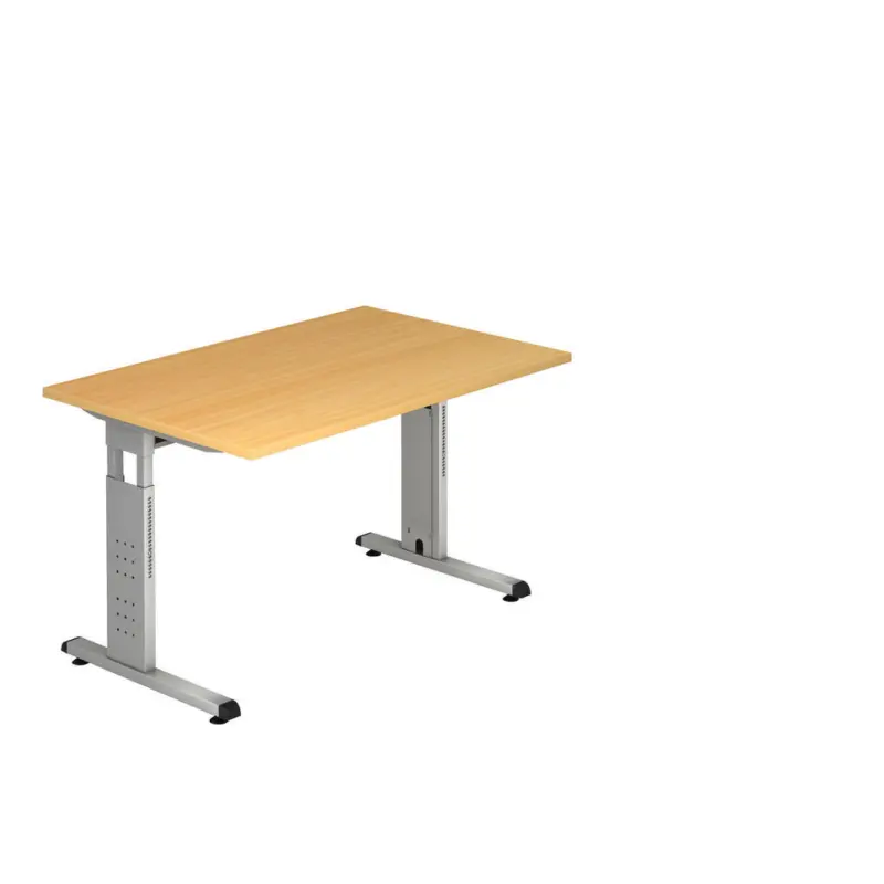Schreibtisch 120/80/65-85 cm Silberfarben, Buchefarben