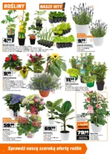 Katalog OBI