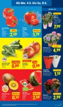 Lidl Lidl: Wochenangebote - bis 09.05.2026