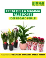 Il Faidate Guercio Festa della mamma alle porte - al 10.05.2026