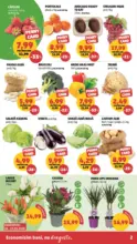 Catalog PENNY p&acirc;nă &icirc;n data de 12.05.2026