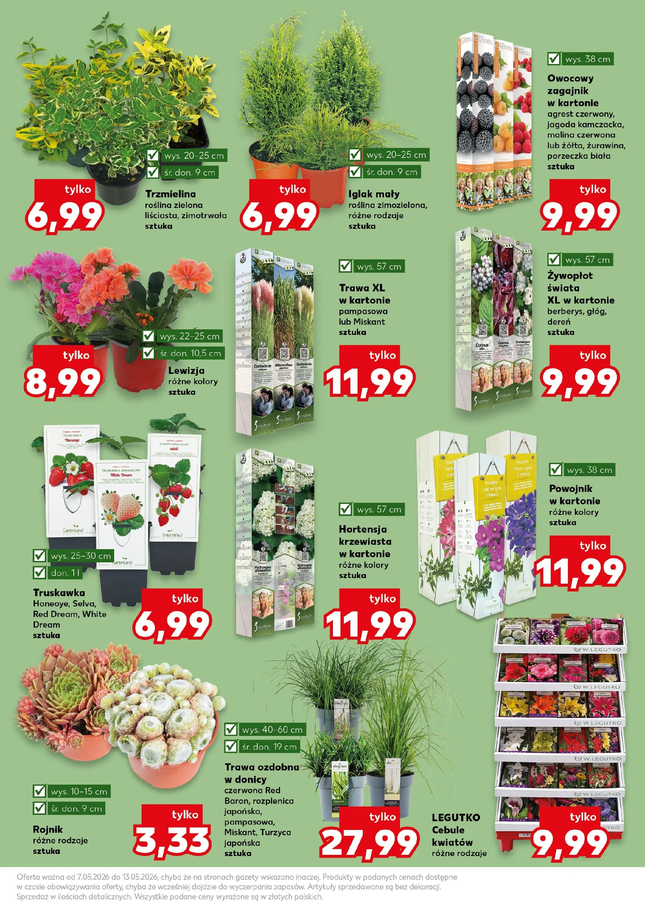 Kaufland gazetka - Ogród od 07.05.2026 - od jutra PDF | Strona: 11