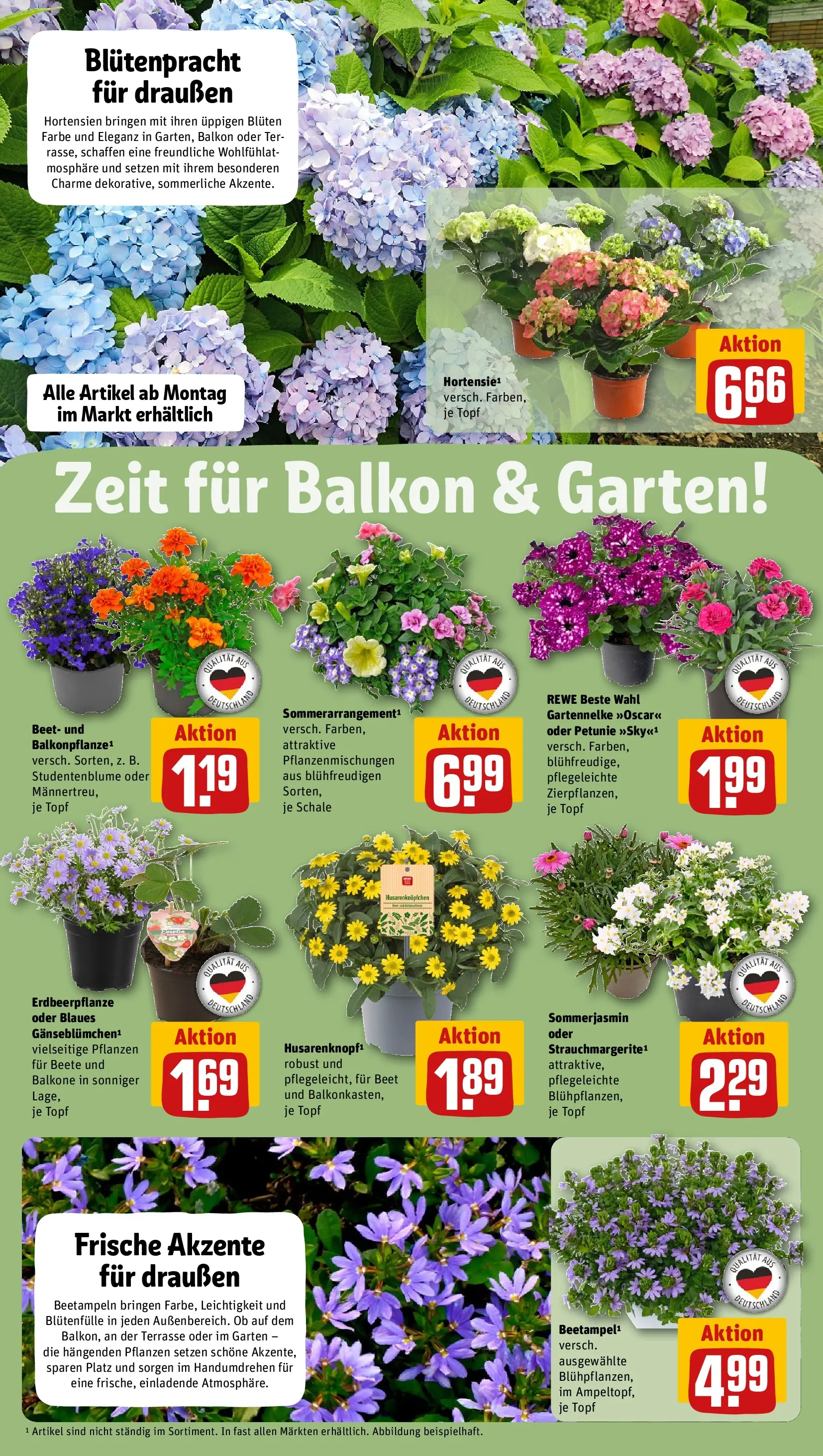 REWE Prospekt ab 10.05.2026 zum Blättern » Angebote | Seite: 6