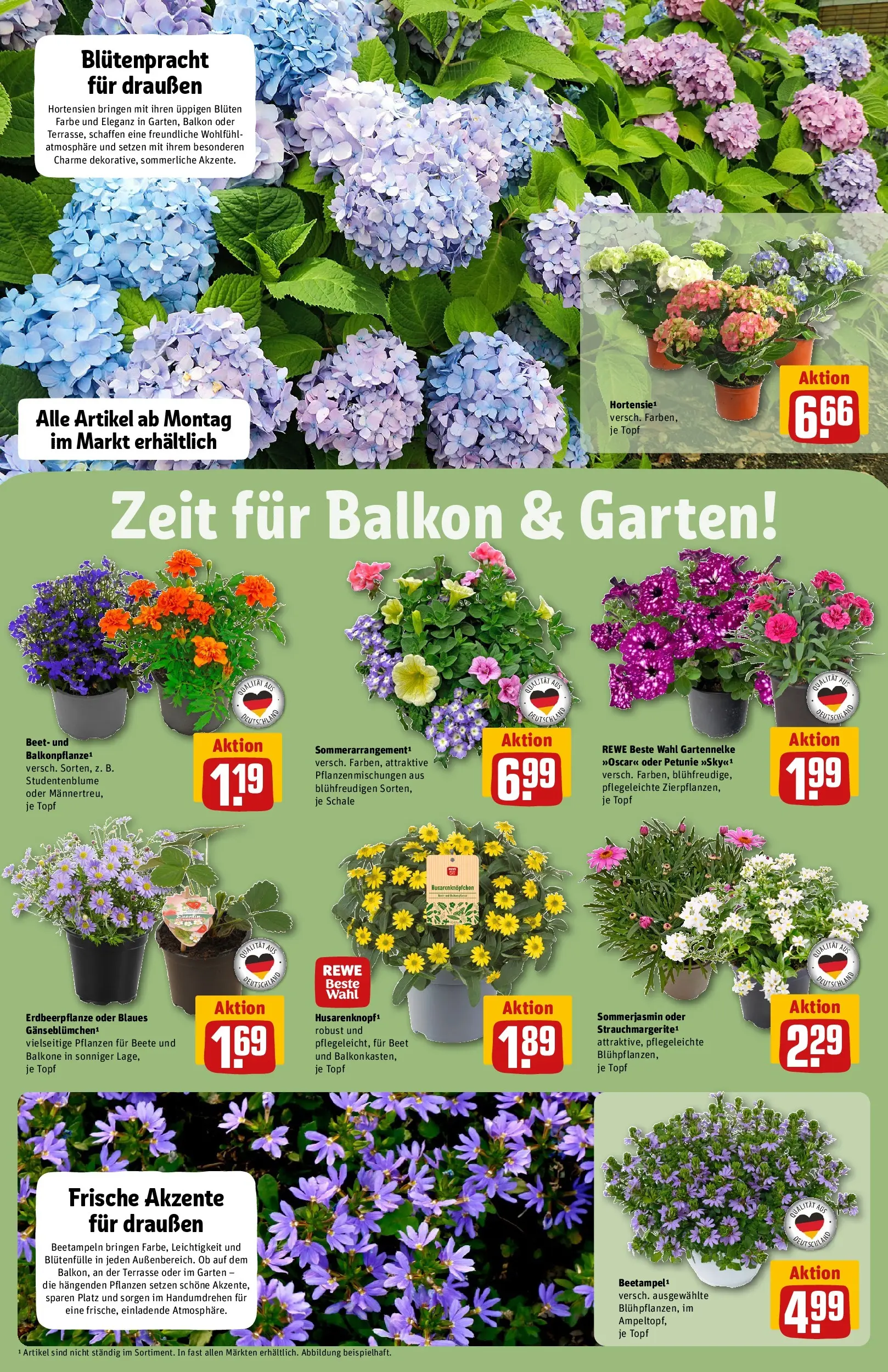 REWE Prospekt ab 10.05.2026 zum Blättern » Angebote | Seite: 6