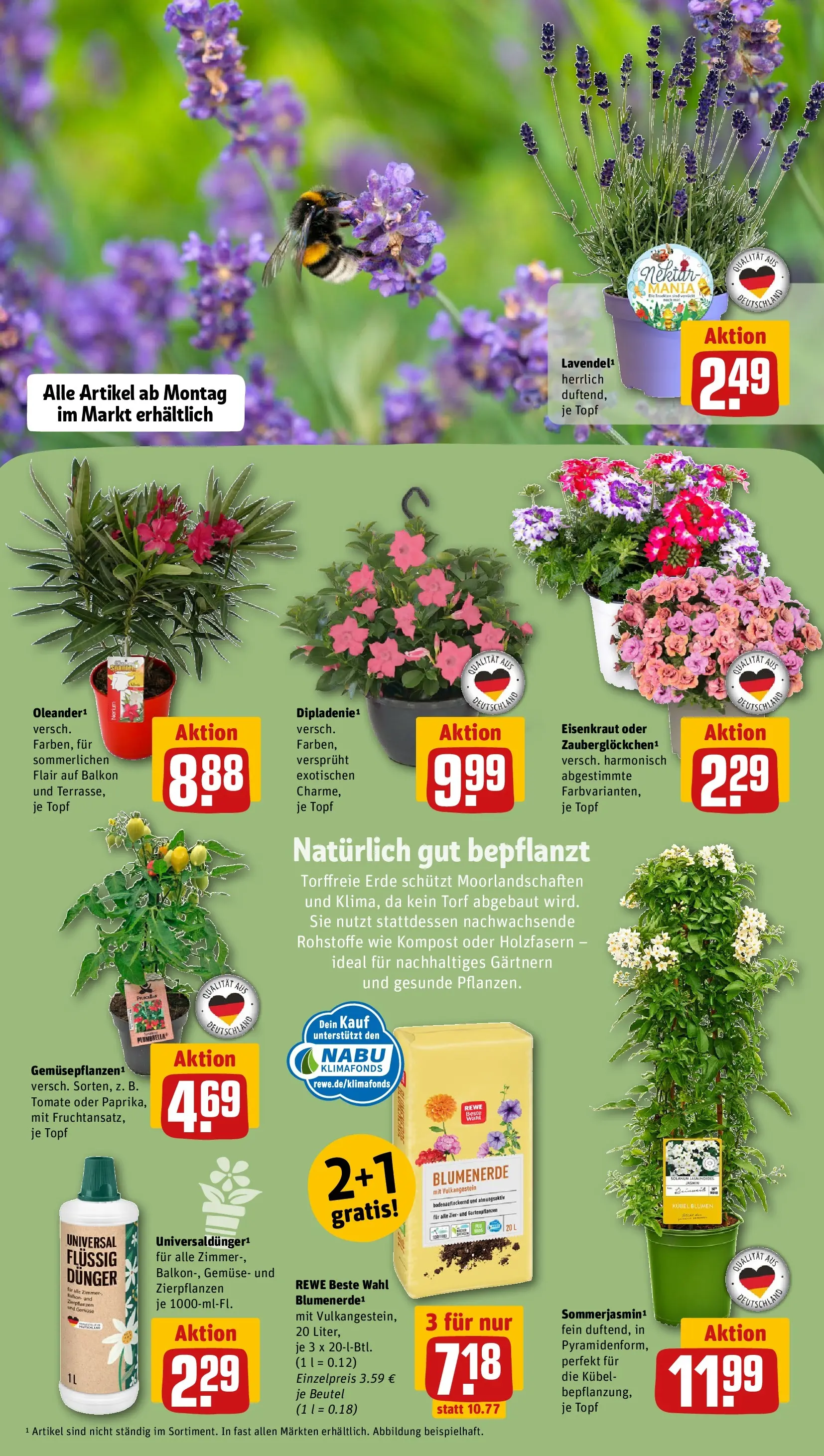 REWE Prospekt ab 10.05.2026 zum Blättern » Angebote | Seite: 15