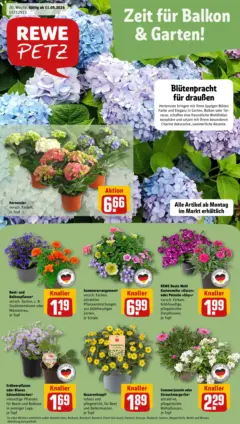Rewe Prospekt Neunkirchen	 ab 10.05.2026 gültig