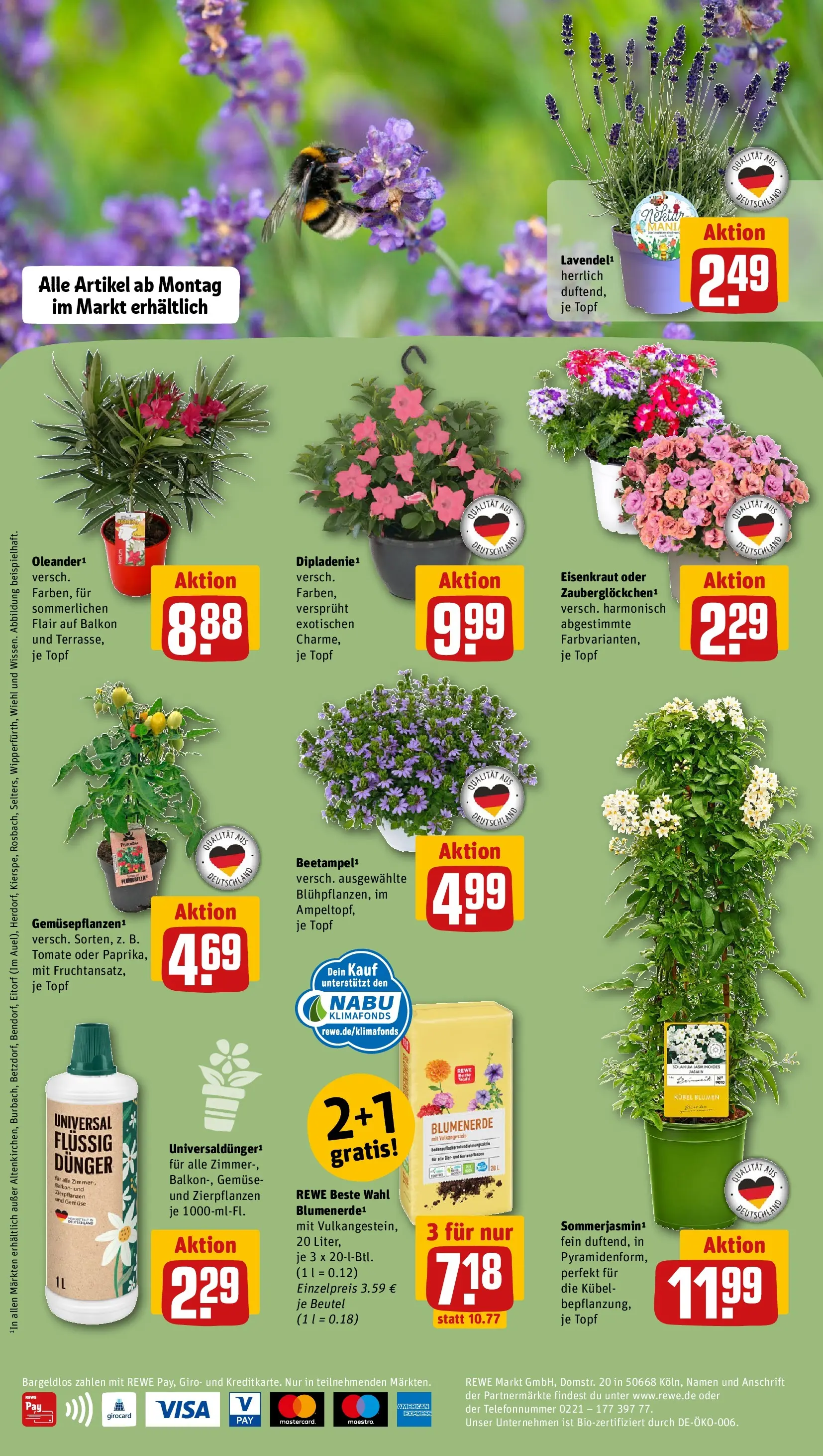 REWE Prospekt ab 10.05.2026 zum Blättern » Angebote | Seite: 2