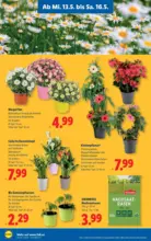 Lidl Lidl - ab 14.05.2026