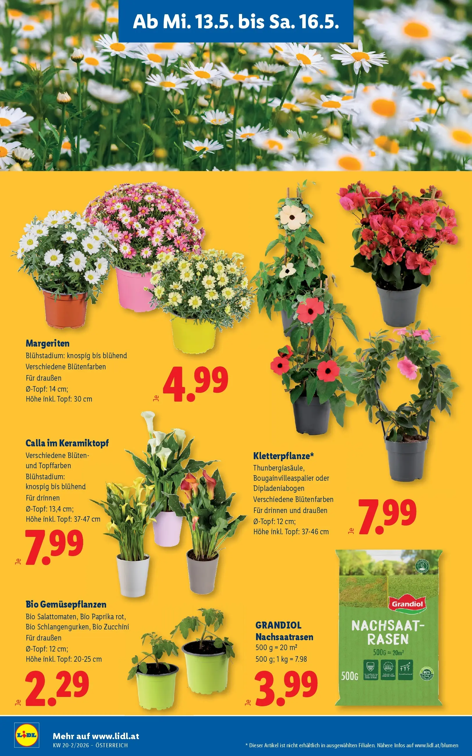 Lidl - Lidl ab 13.05.2026 - Angebote ab donnerstag | Seite: 30