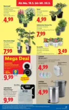 Lidl Lidl - ab 14.05.2026