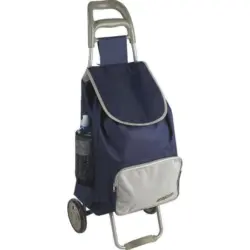 Einkaufstrolley