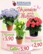 Bernava Un pensiero per la mamma - al 10.05.2026