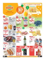 Globus Globus 20 26 L1 &ndash; do 19.05.2026