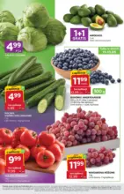 Świetna oferta dla wszystkich klient&oacute;w