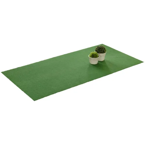 Kunstrasen Grass