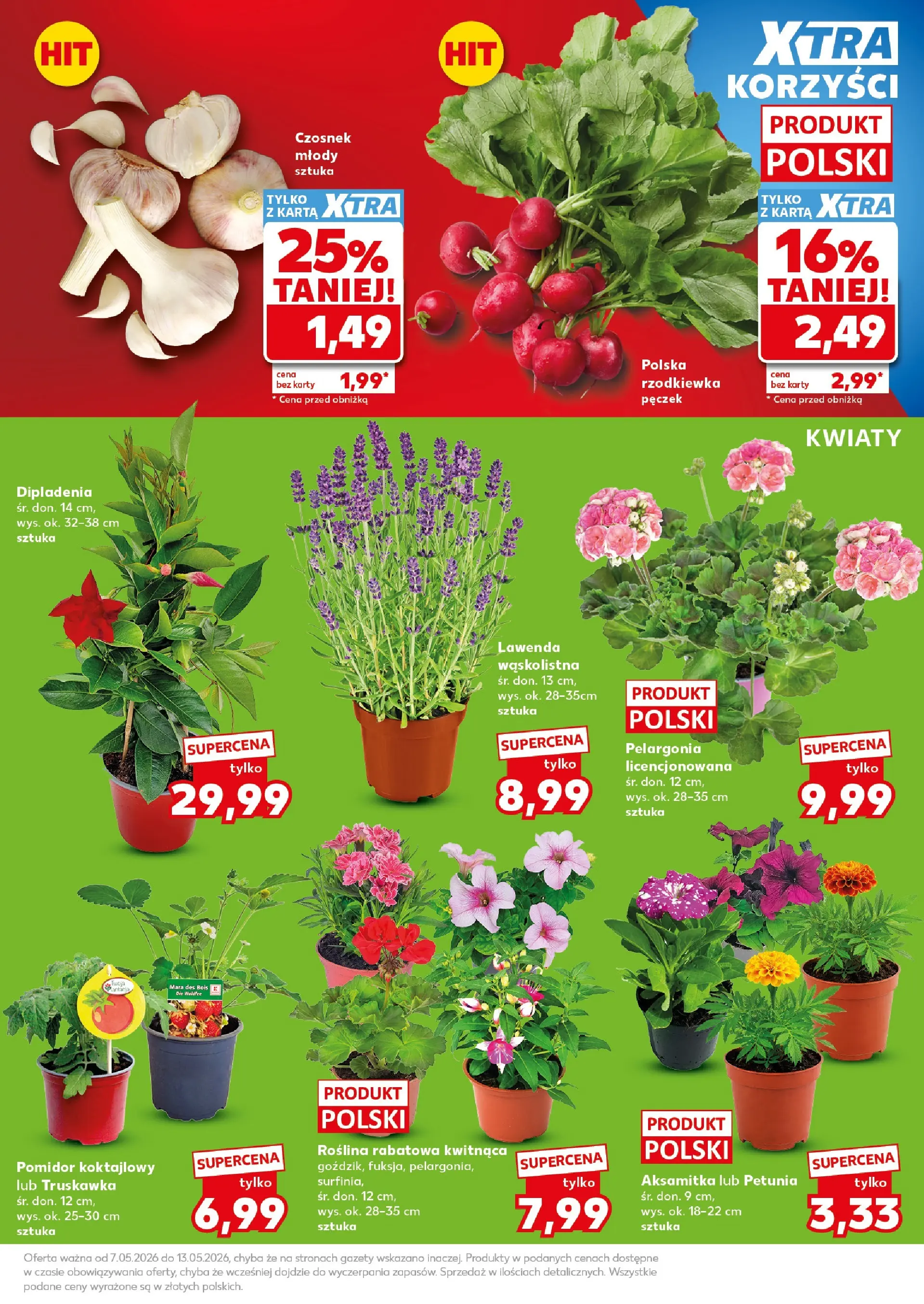 Kaufland gazetka - Super Sobota od 09.05.2026 - od jutra PDF | Strona: 13 | Produkty: Czosnek, Karta, Kwiaty