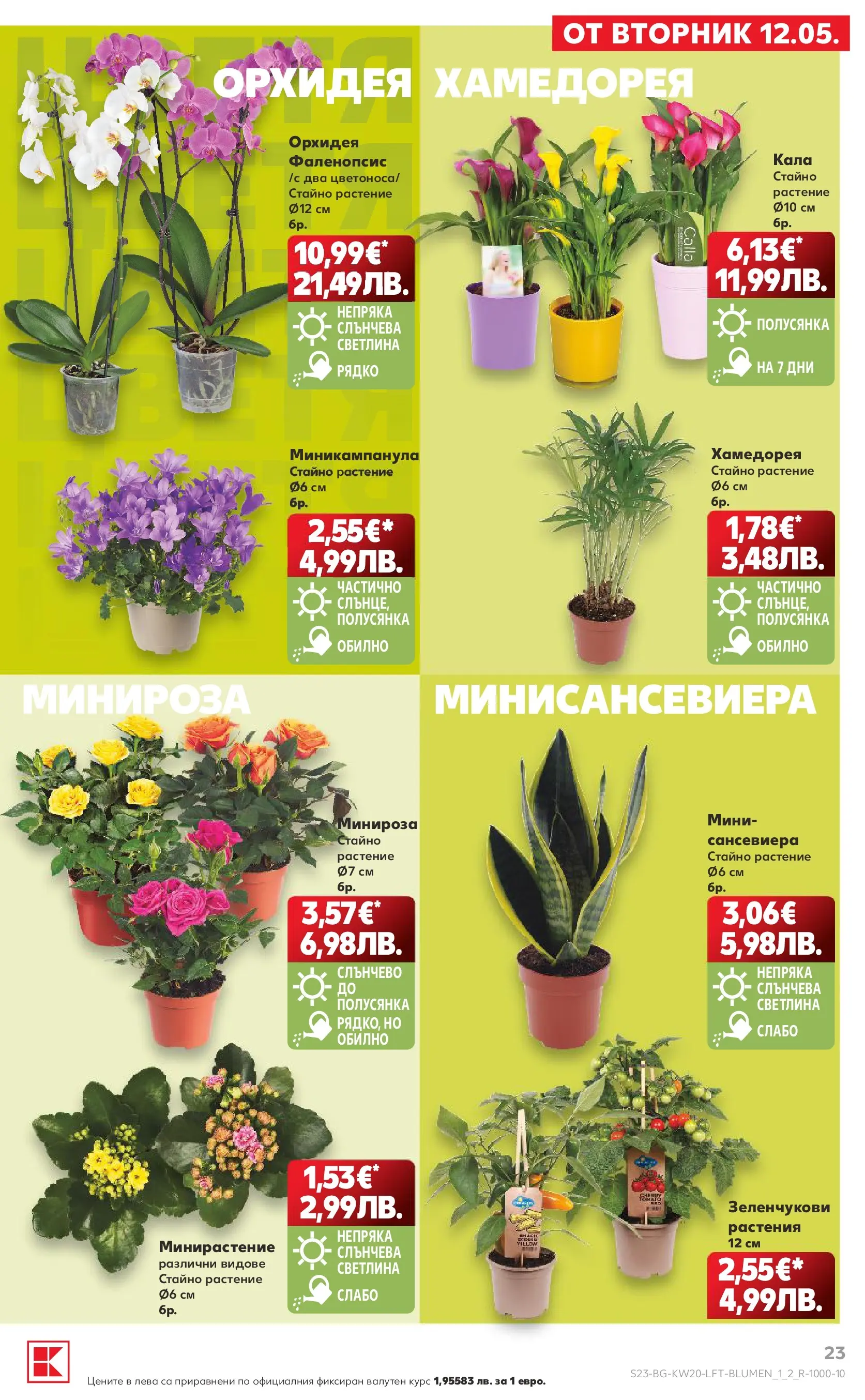 Нова Кауфланд брошура - Вземи XTRA  от 11.05.2026 | Страница: 23 | Продукти: Орхидея