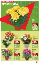 Kaufland хипермаркет Вземи XTRA с Kaufland предложения с валидност до 17.05.2026 - до 17-05-26