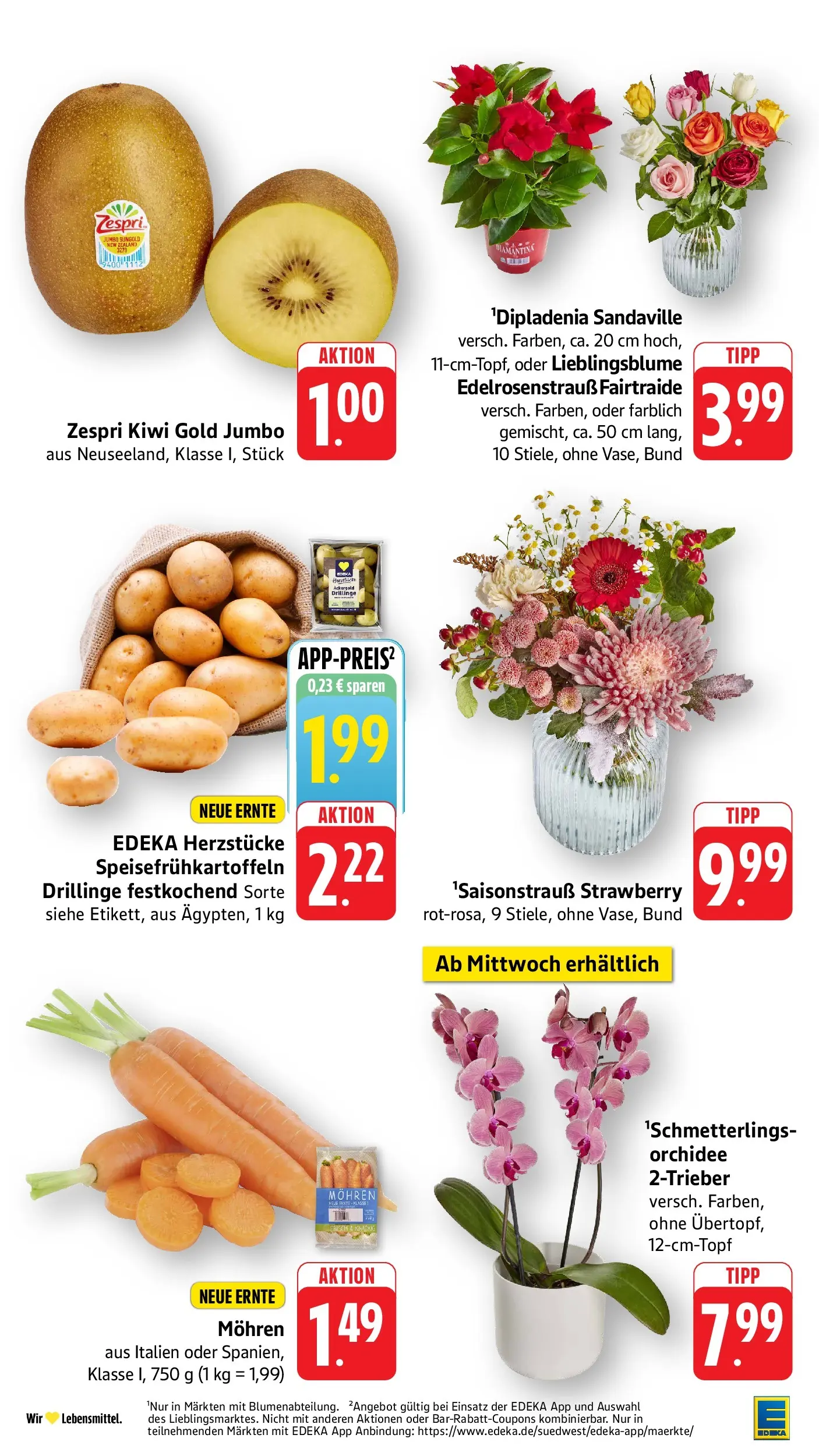 E center Prospekt Kirchheim-Teck	 (ab 10.05.2026) zum Blättern | Seite: 12 | Produkte: Orchidee, Mohren, Kiwi