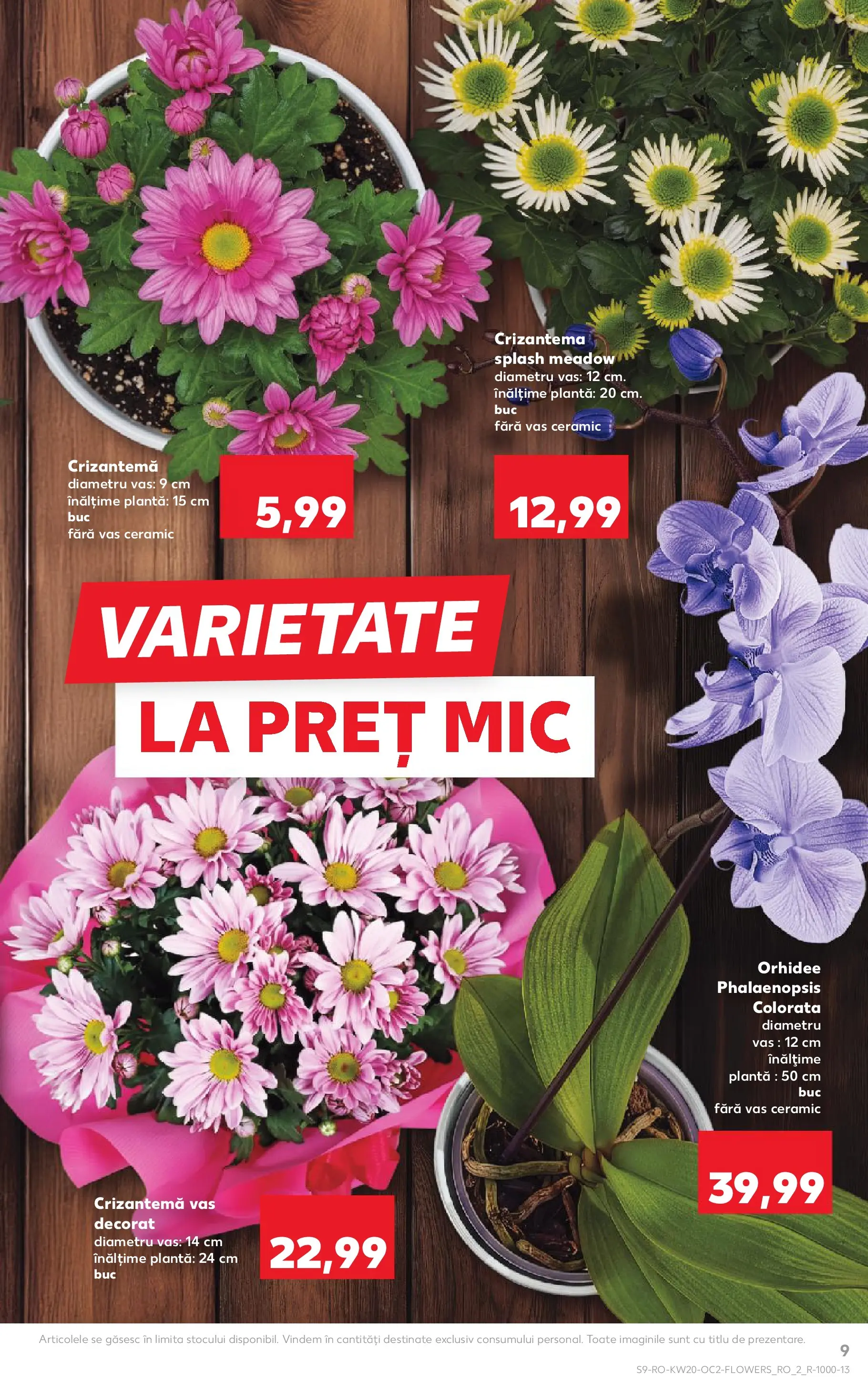 Kaufland Craiova 13.05.2026 - Revista si Oferta | Pagină: 9