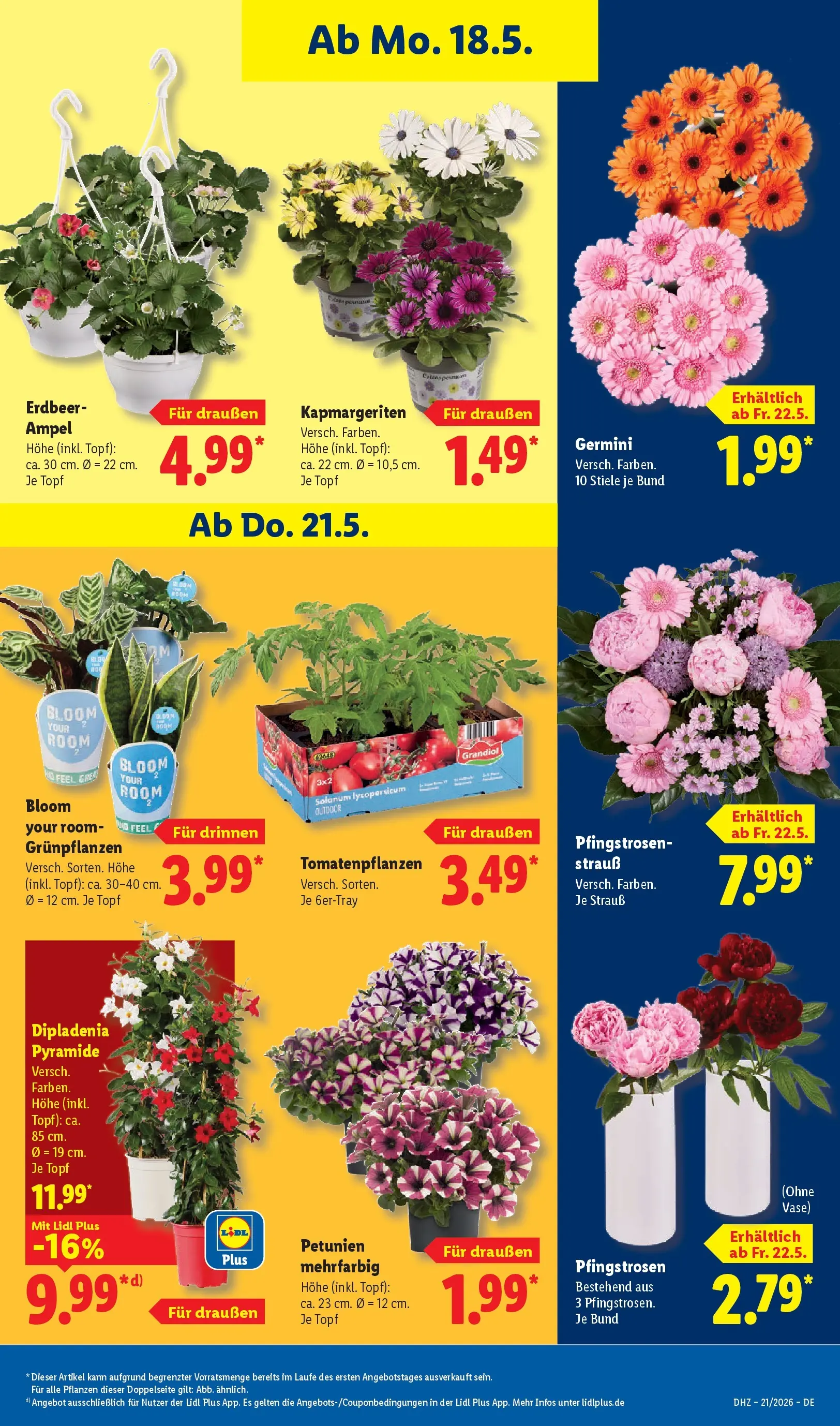 Lidl Prospekt Bad Rothenfelde (ab 17.05.2026) » Angebote online | Seite: 75 Lidl Prospekt Bad Rothenfelde (ab 17.05.2026) zum Blättern » Angebote | Seite: 75