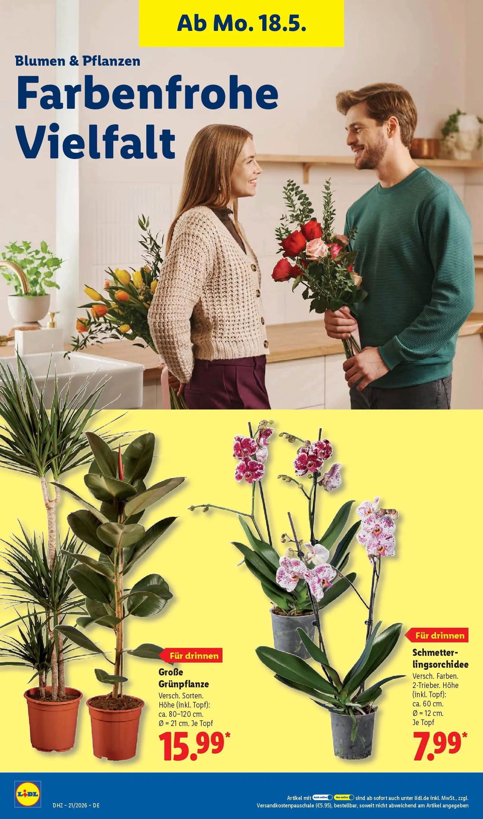 Lidl Prospekt Mahlow (ab 17.05.2026) » Angebote online | Seite: 74 | Produkte: Blumen Lidl Prospekt Mahlow (ab 17.05.2026) zum Blättern » Angebote | Seite: 74 | Produkte: Blumen