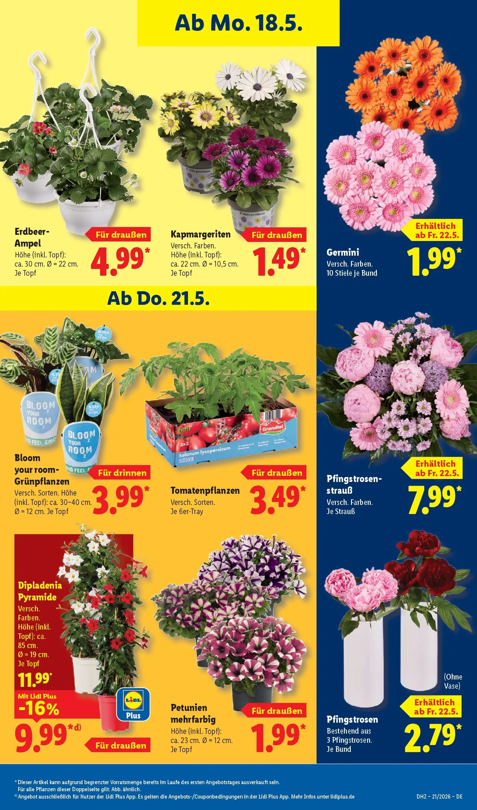 Lidl Prospekt Mahlow (ab 17.05.2026) » Angebote online | Seite: 75 Lidl Prospekt Mahlow (ab 17.05.2026) zum Blättern » Angebote | Seite: 75