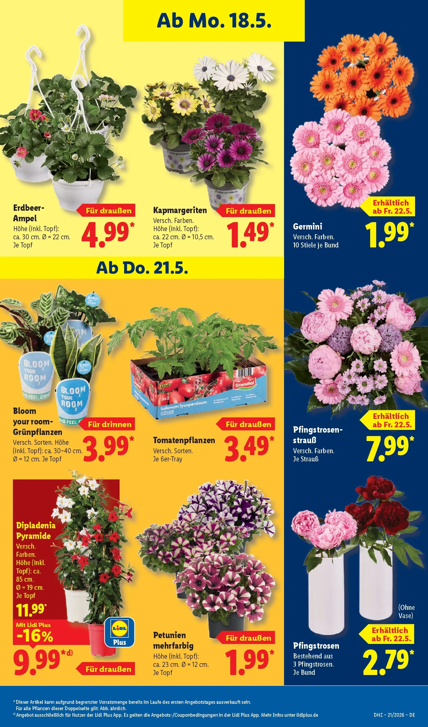 Lidl Prospekt Grimma (ab 17.05.2026) zum Blättern » Angebote | Seite: 75 | Produkte: Vase