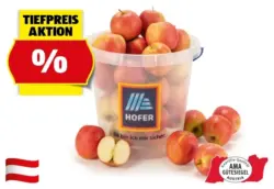 HOFER MARKTPLATZ &Auml;pfel aus &Ouml;sterreich im K&uuml;bel, ca 6 kg
