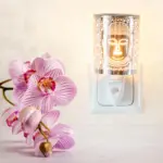 XXXLutz Lauterach - Ihr M&ouml;belhaus bei Bregenz Candle Brothers Duftlampe