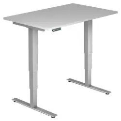 Schreibtisch 120/80/63,5-128,5 cm Grau, Silberfarben elektrisch h&ouml;henverstellbar