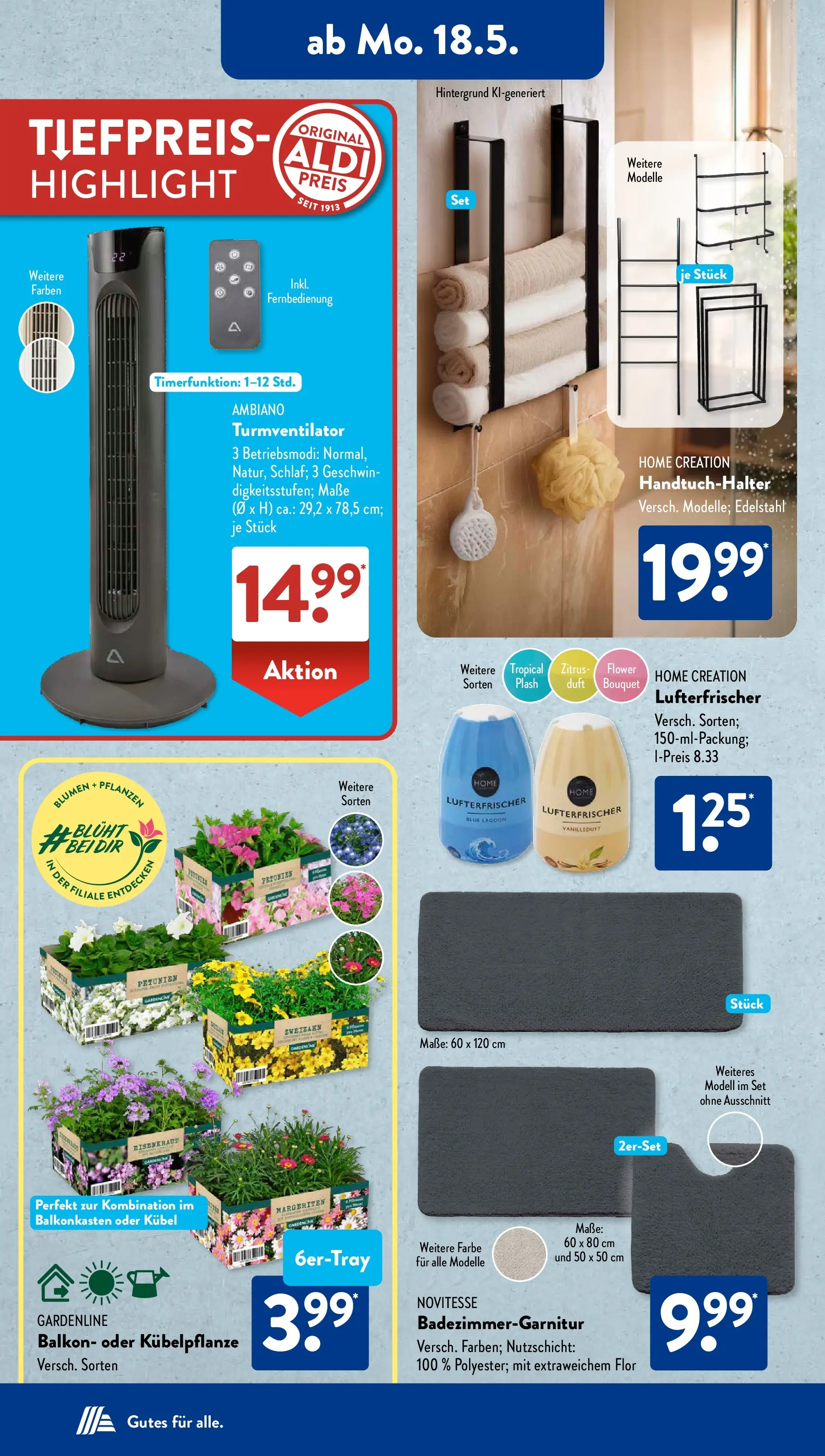 Aldi Süd - Aldi Süd: Wochenangebote (ab 17.05.2026) zum Blättern | Seite: 13 | Produkte: Blumen, Duft, Handtuchhalter, Turmventilator